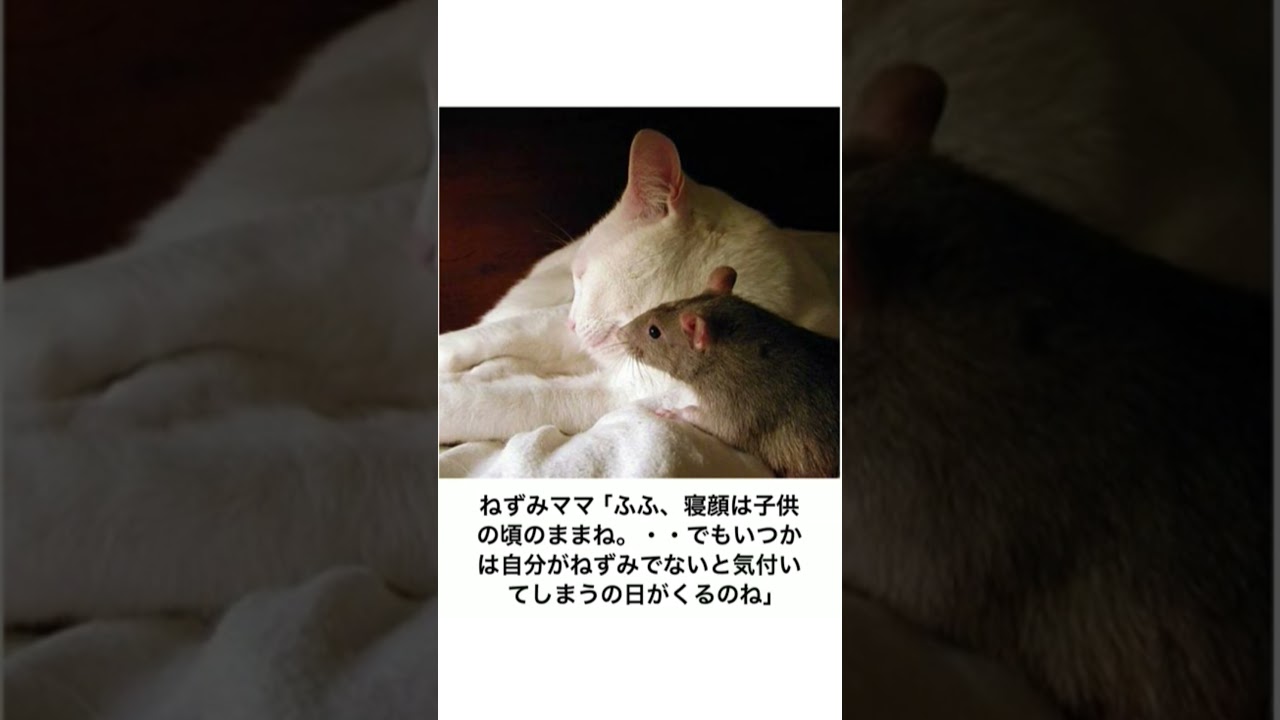【神回】感情込めてボケてにアフレコしてツッコんでみたらヤバすぎたｗｗｗｗ【第3020弾】#shorts
