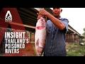 Is Your Food Safe? Inside Thailand’s Toxic River Crisis | Insight