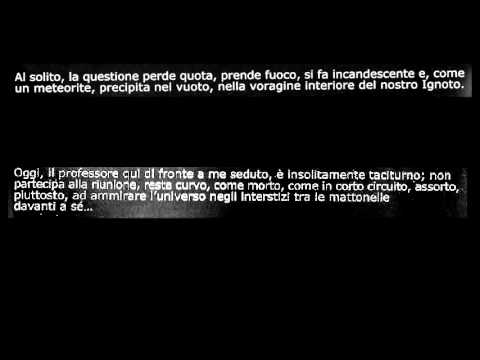 quintorigo raptus quintorigo raptus