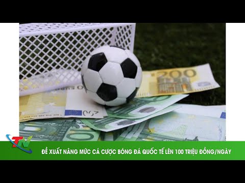 trang cá cược bóng đá