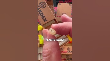 Just plant your roach & a plant will grow! 🤩