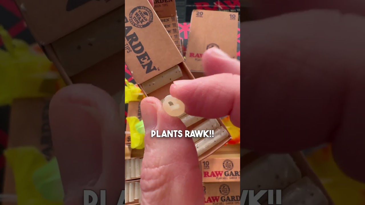 Just plant your roach & a plant will grow! 🤩