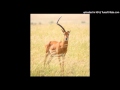 Eric Kupper, Discrete, Michelle Shaprow - The Same Old Thing (Afro Soul Mix)