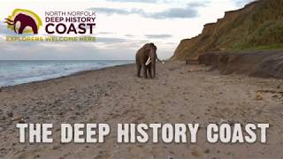 Delve into the Deep History Coast