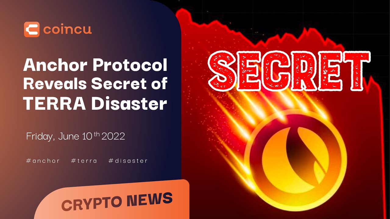 Anchor Protocol reveals secret of Terra disaster | Latest News 10 June 2022  | Crypto News