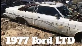1977 Ford LTD junkyard find