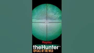 BUG REPORT - Revontuli Coast Funny Moose | The Hunter Call of The Wild | COTW. #shorts