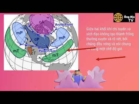 FRÔNG|DẢI HỘI TỤ NHIỆT ĐỚI|#ongdiatv|#ongdiatv1 - youtube