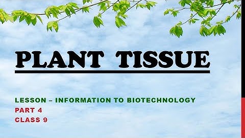 WHAT IS PLANT TISSUE #TYPES OF PLANT TISSUES #Lesson- Introduction to Biotechnology#(Class 9)-part 4