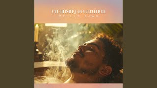 Reflection Cleanse