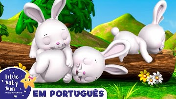 Desenho para Bebe | Coelhinhos dormindo | Canções para Bebe | Little Baby Bum em Português