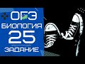 ОГЭ Биология Задание 25 Рохлов