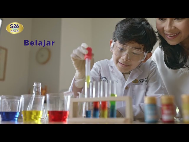 Wyeth Procal Gold 6s High Achiever