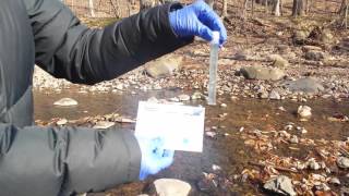 Water Quality: Phosphate Results