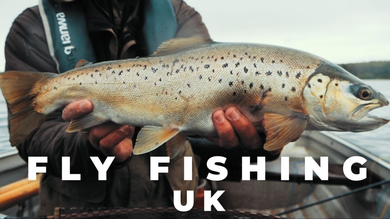 How We Fish Why Do We Fish? This is why... - YouTube