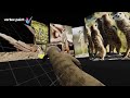 Middle of video