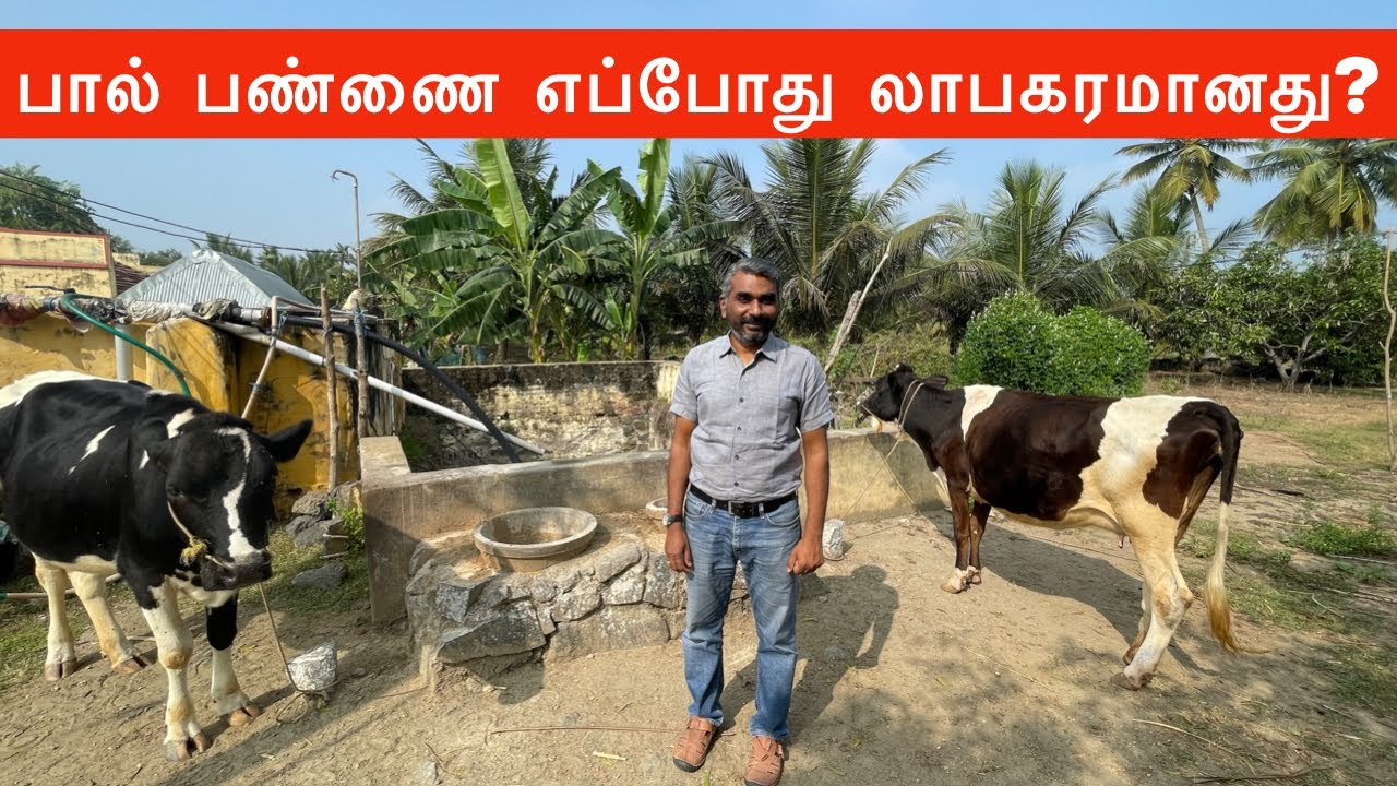 How dairy farming is profitable?