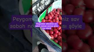 Peygamber Efendimiz Sav Sabah Namazı Sonrası Şöyle Dua Ederdi