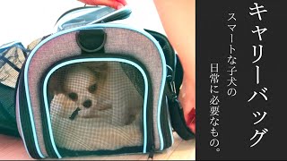 【子犬のキャリーバッグ】拡張性抜群！！