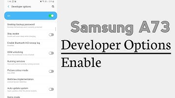 Samsung A73 How To Enable Developer Options