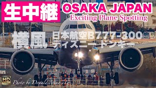 🔴 LIVE OSAKA ITAMI Airport 2025/5/11 大阪伊丹空港   ライブカメラ