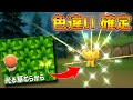 【ポケモンBDSP】色違いポケモン確定!光る草むらの出し方を解説します【ポケトレ】【ダイパリメイク】
