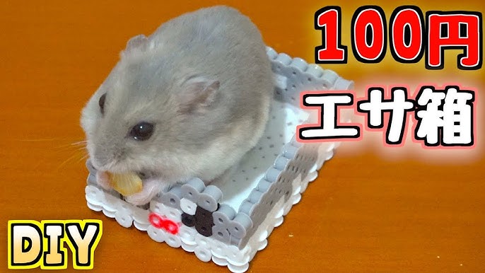 Diy 超ミニアイロンビーズ で きょんくまペット3匹 を 再現してみた 100均 ハムスター チンチラ ハリネズミ 作ってみた Youtube Diy 超ミニアイロンビーズ で きょんくまペット3匹 を 再現してみた 100均 ハムスター チンチラ ハリネズミ 作ってみた Youtube