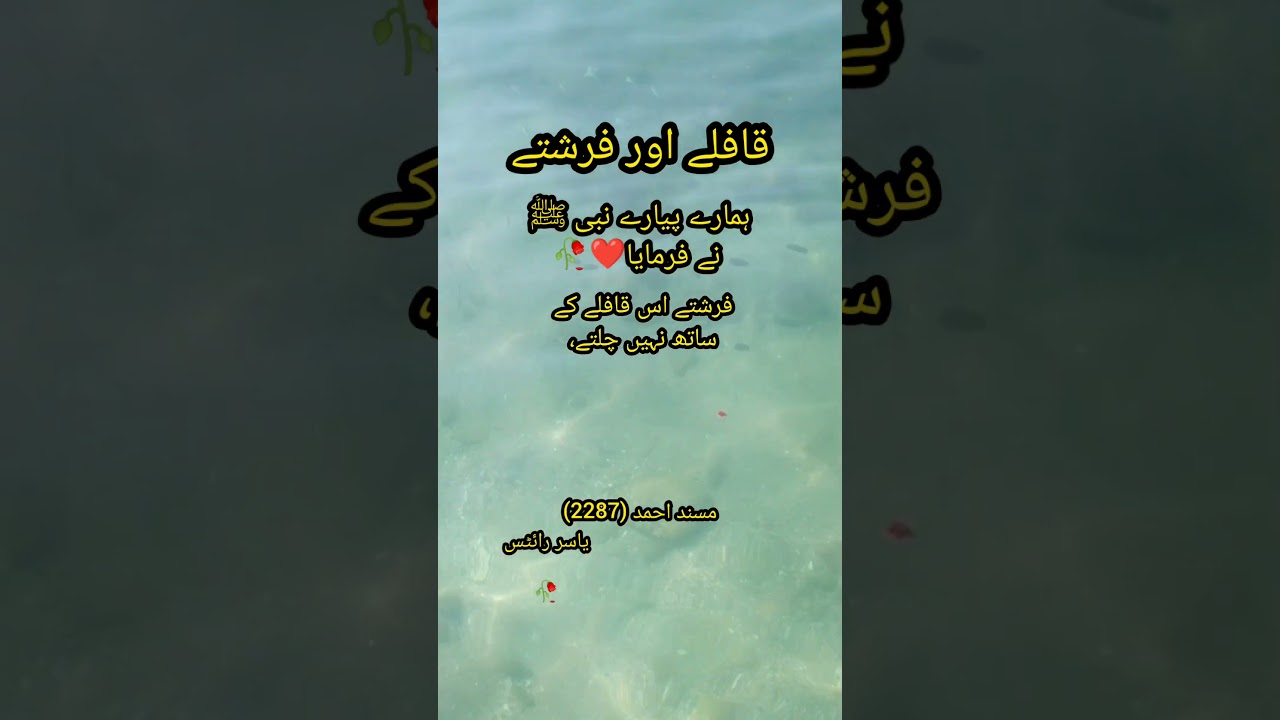 #shorts hadith | hadith e kisa ki fazilat / status / hadees e kisa ki fazilat#hadees #islam #islamic