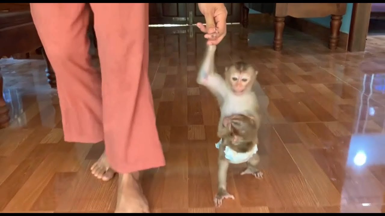 JUEUR Huqq Tourtour Go To Bath Room