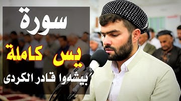 تلاوة مريحة و هادية جدا في سورة يس بصوت بيشةوا قادر الكردي😍
