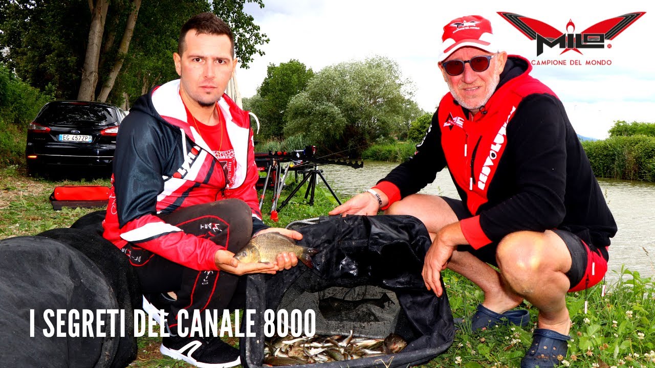 MILO TV - Alla scoperta del Canale 8000