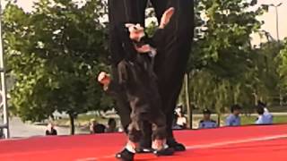 Michael Jackson Kukla Dansı