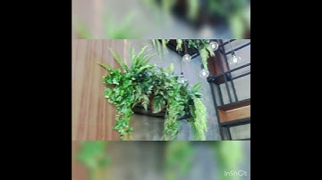 Cafe JJ | Yangon | SMART POS System