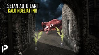 Segera Tanam Di Depan Rumahmu Daun Bidara Yang Bisa Mengusir Setan Dan Sejuta Manfaat Bagi Tubuh