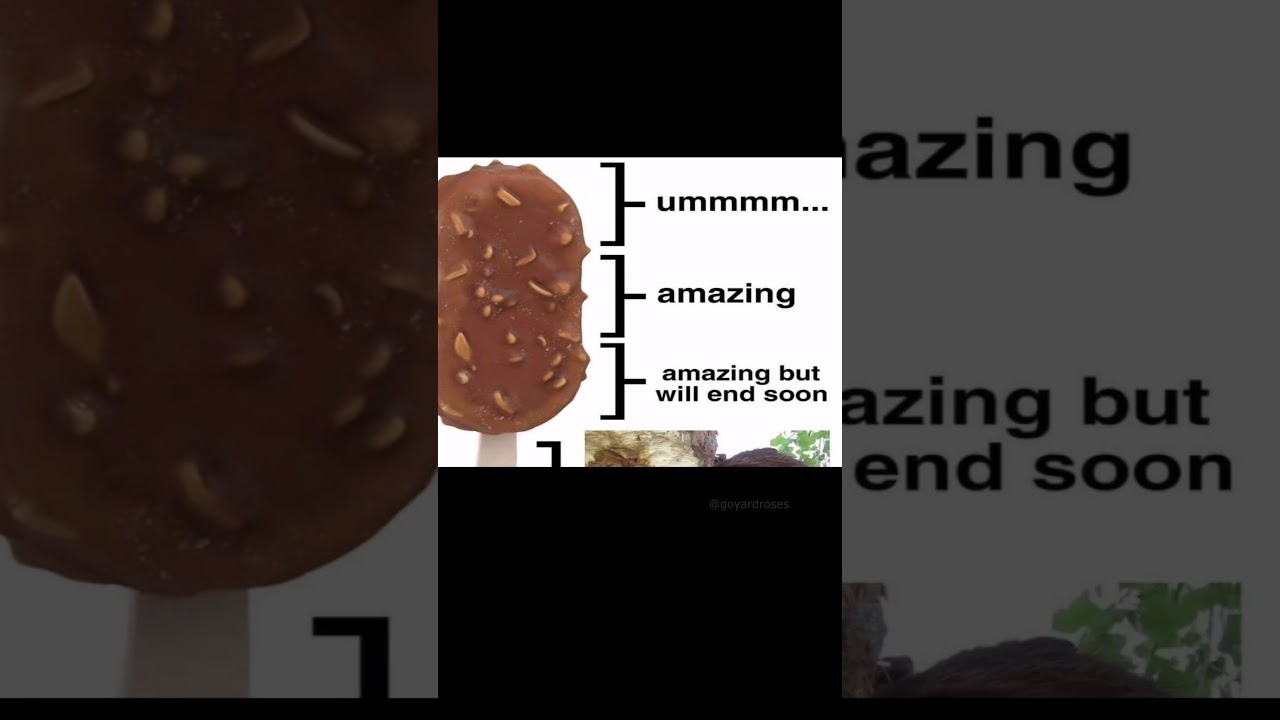 #beaver #meme #funny #icecream #wood #shorts auf YouTube ansehen #beaver #meme #funny #icecream #wood #shorts auf YouTube ansehen