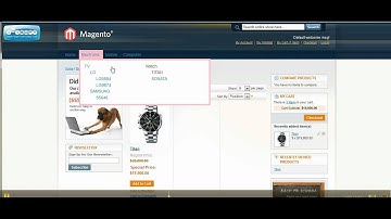 Magento Custom Menu Extension Installation Guide | SeashorePartners