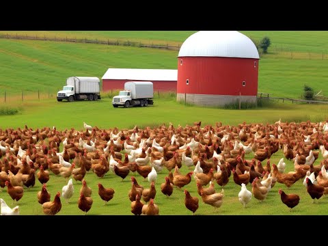 17,445 ORGANIC FARMS In The United States Work This Way - American Farming