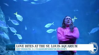 Love Bites at the St Louis Aquarium