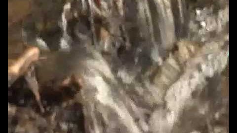 Experia Sensory Garden Overview