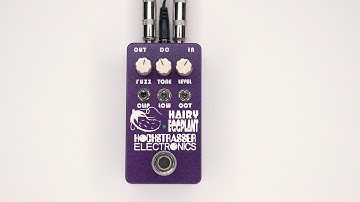 Hairy Eggplant Quick Demo | Hochstrasser Electronics