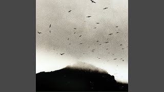 When the Shouting Is Over