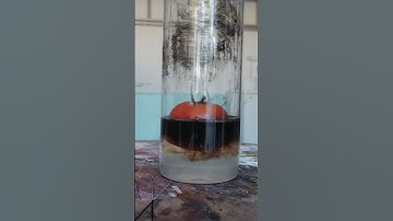 Eenvoudige piranha-oplossing #shorts