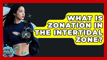 What Is Zonation In The Intertidal Zone? - The Marine Life Explorer