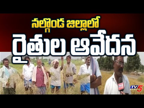 నల్గొండ జిల్లాలో రైతుల ఆవేదన | Nalgonda Farmers Request to Telangana Govt | Tv5 News - TV5NEWS