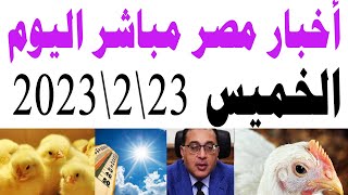 أخبار مصر مباشر اليوم الخميس 23\2\2023.. الأسعار ترتفع والكتكوت ب 33 ج والفرخة ب 95 ج