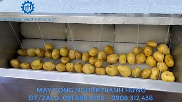MÁY RỬA KHOAI TÂY, KHOAI LANG, KHOAI SỌ, CỦ CẢI, CÀ RỐT.... MÁY RỬA CỦ QUẢ DẠNG CON LĂN BÀN CHẢI