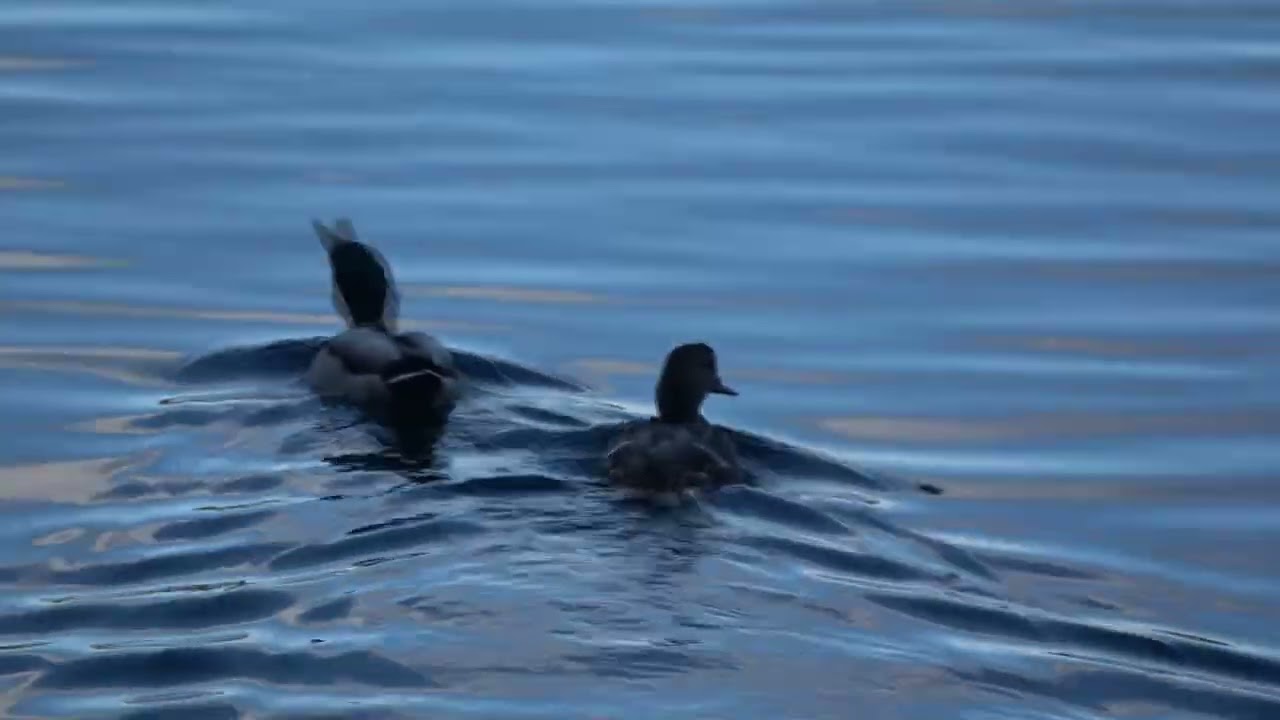 Herbstspaziergang im Barnim