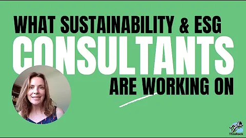 What Sustainability & ESG Consultants Do