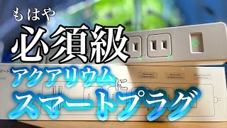 Alexa.Google Homeにも対応！meross "スマート電源タップ"設定方法を紹介#アクアリウム