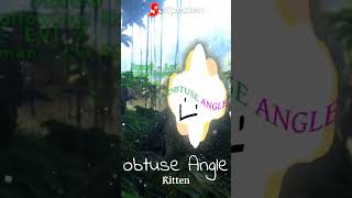 Kitten - Obtuse Angle #music #obtusealbum